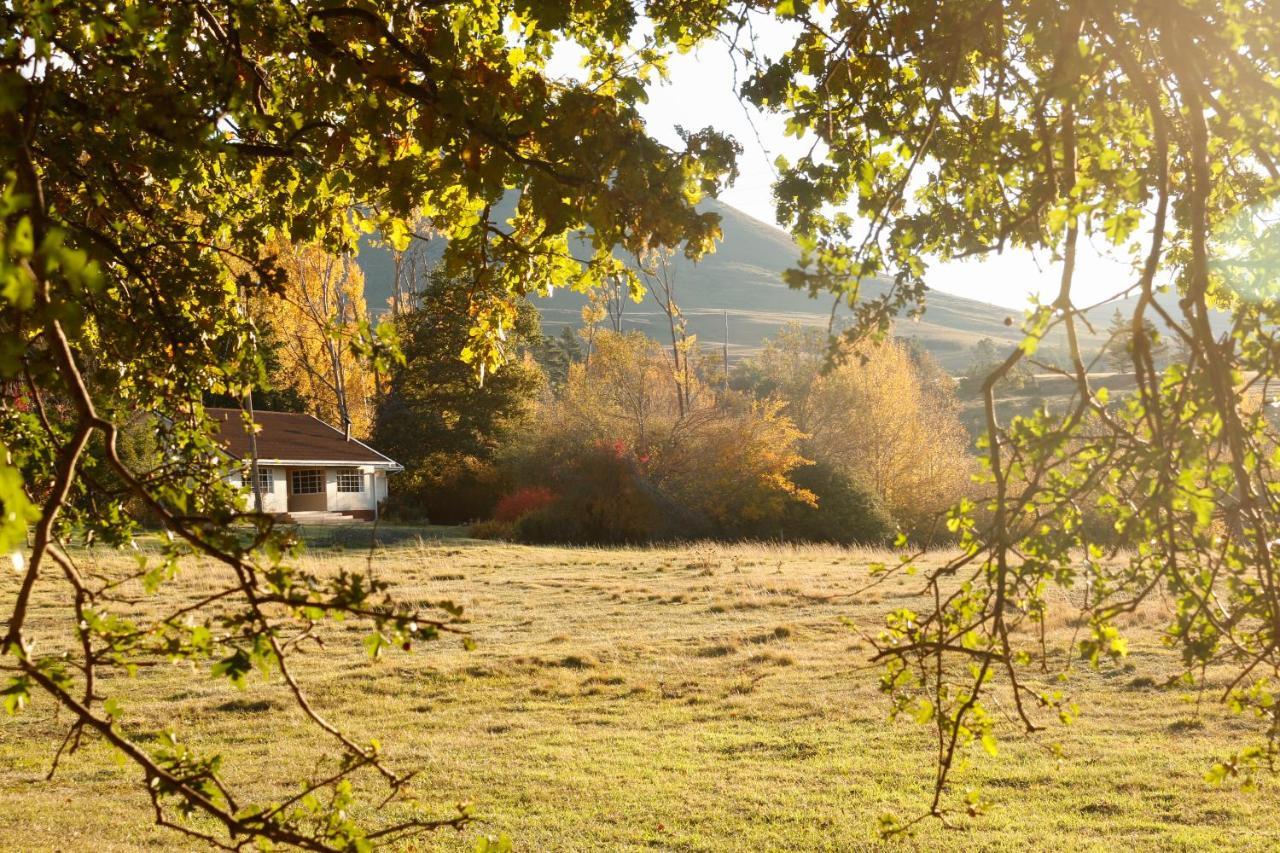 Lowestoffe Country Rockford * Hogsback